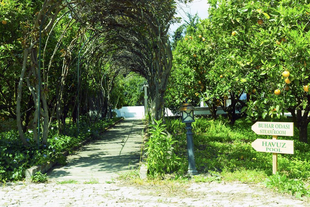 Olive Farm Of Datca Guesthouse (Adults Only) ภายนอก รูปภาพ