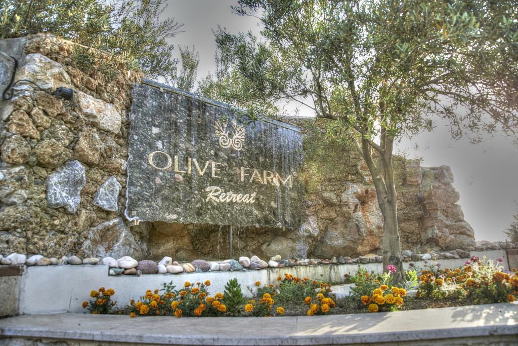 Olive Farm Of Datca Guesthouse (Adults Only) ภายนอก รูปภาพ
