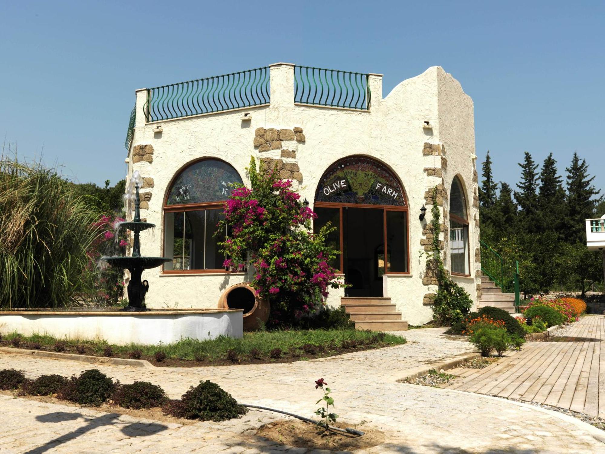 Olive Farm Of Datca Guesthouse (Adults Only) ภายนอก รูปภาพ