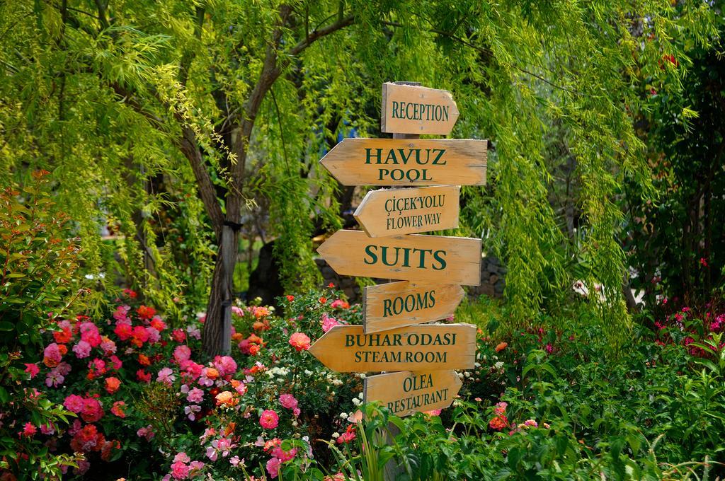 Olive Farm Of Datca Guesthouse (Adults Only) ภายนอก รูปภาพ