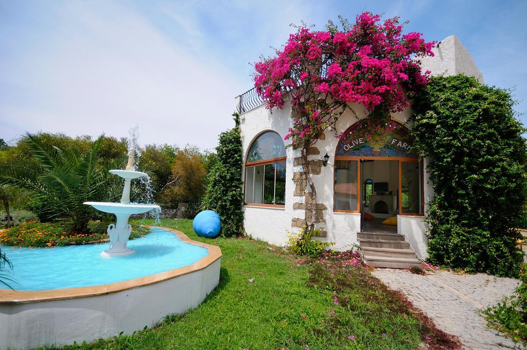 Olive Farm Of Datca Guesthouse (Adults Only) ภายนอก รูปภาพ
