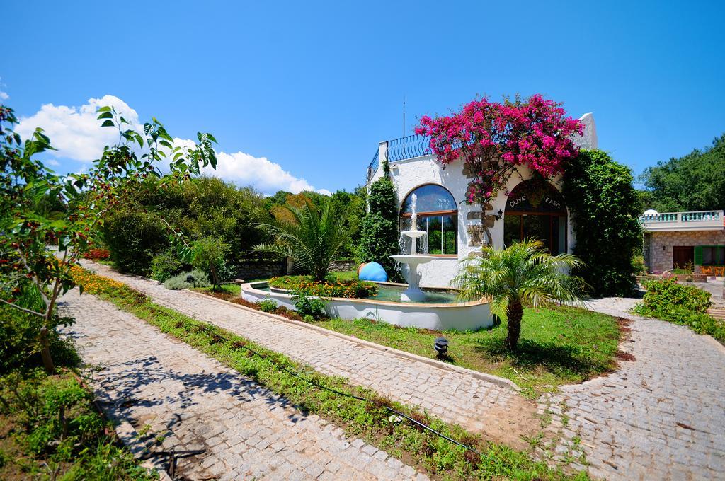 Olive Farm Of Datca Guesthouse (Adults Only) ภายนอก รูปภาพ