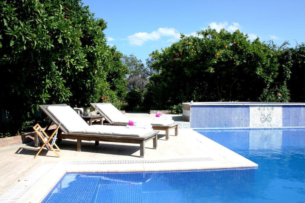 Olive Farm Of Datca Guesthouse (Adults Only) ภายนอก รูปภาพ
